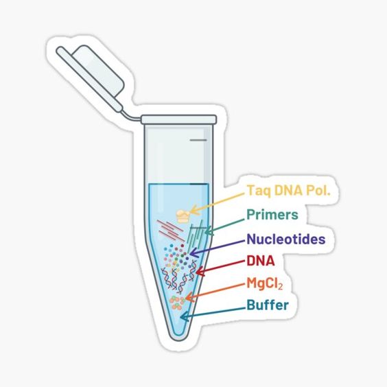 مستر میکس PCR