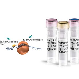 آنزیم DNA پلیمراز Pfu-زیست فناوران Pfu DNA Polymerase، خرید Pfu DNA Polymerase، قیمت Pfu DNA Polymerase، آنزیم Pfu، آنزیم مقاوم به حرارت، آنزیم PCR دقیق، Pfu در کلونینگ، فیدلیتی بالا در PCR، آنزیم DNA پلیمراز مقاوم به حرارت، خرید آنزیم‌های تحقیقاتی، آنزیم زیست فناوران، مقایسه Pfu و Taq