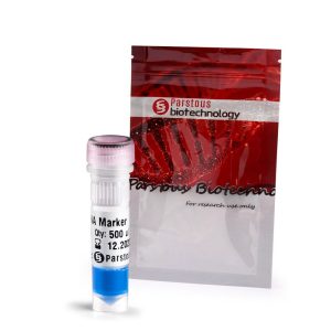 لدر DNA 100bp-زیست فناوران